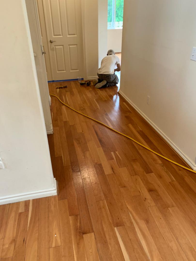 Hardwood Flooring Bellevue
